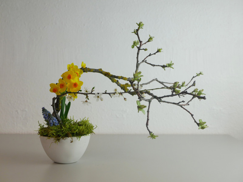 300-dpi-fbp1010165-152474