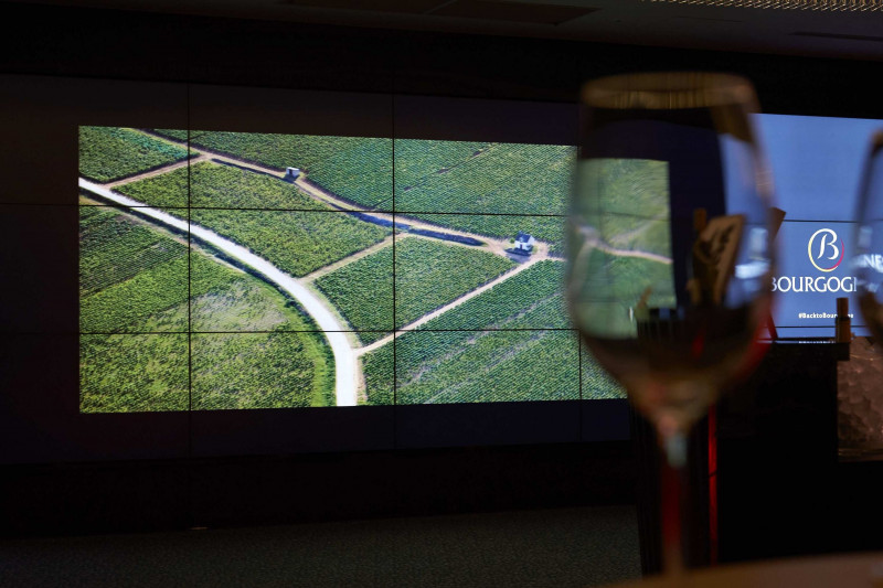 b-00054-bivb-sopexa-152463