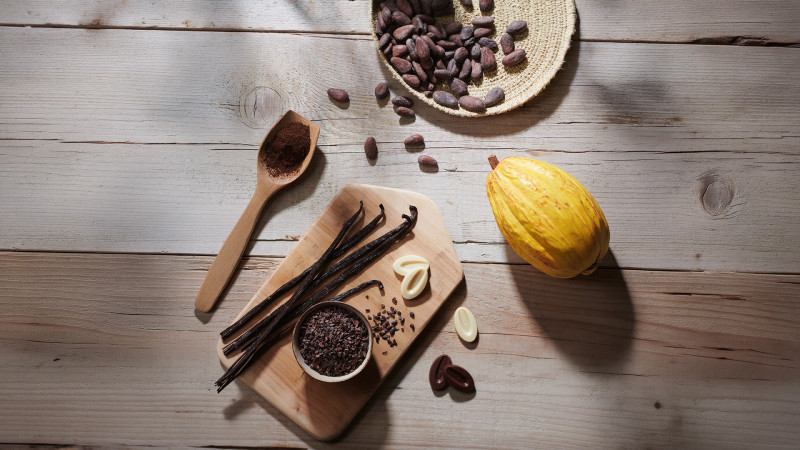 d-couverte-du-chocolat-152894 d-couverte-du-chocolat-152894