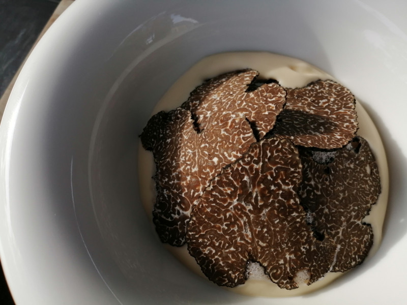expo-truffe-3-152834