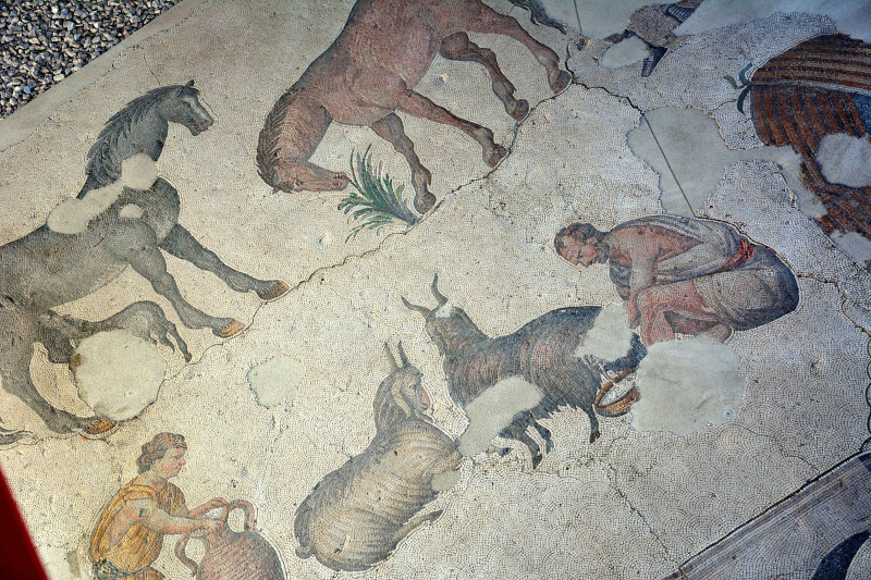 herdsman-milking-a-goat-byzantine-mosaic-7819-151615