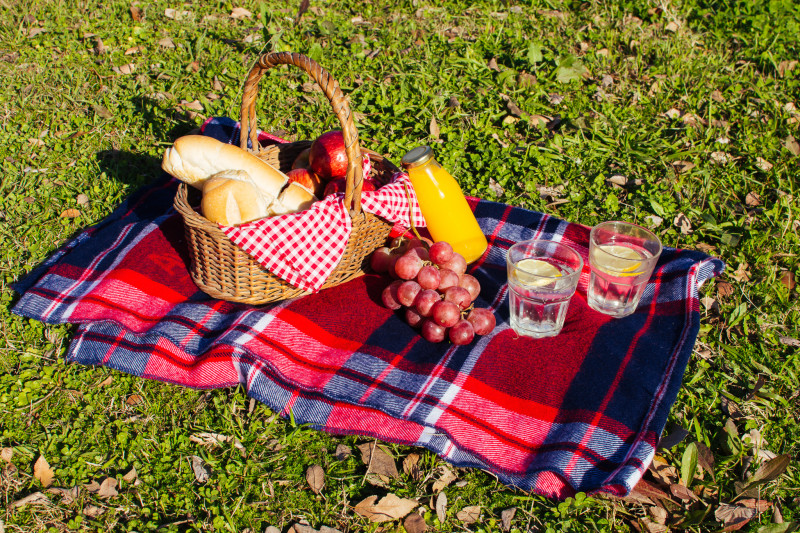 high-angle-picnic-arrangement-grass-2-152515