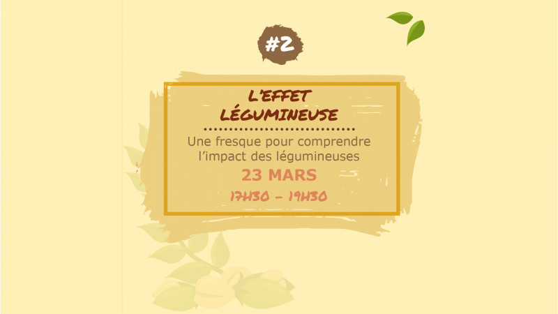 site-l-gumineuses-fresque-150846